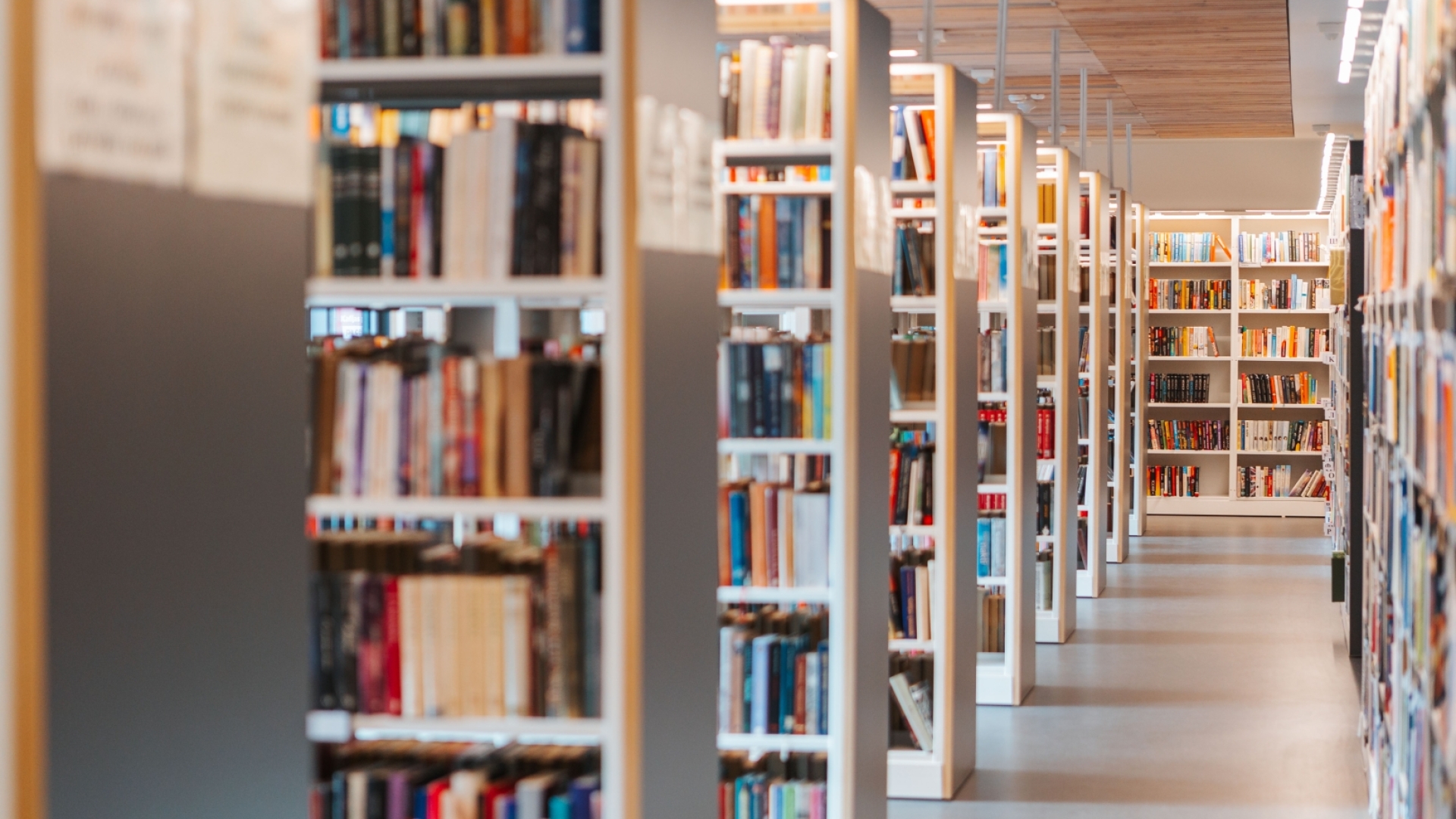 Garš bibliotēkas gaitenis ar gaišiem, grāmatu pilniem plauktiem lineārā perspektīvā